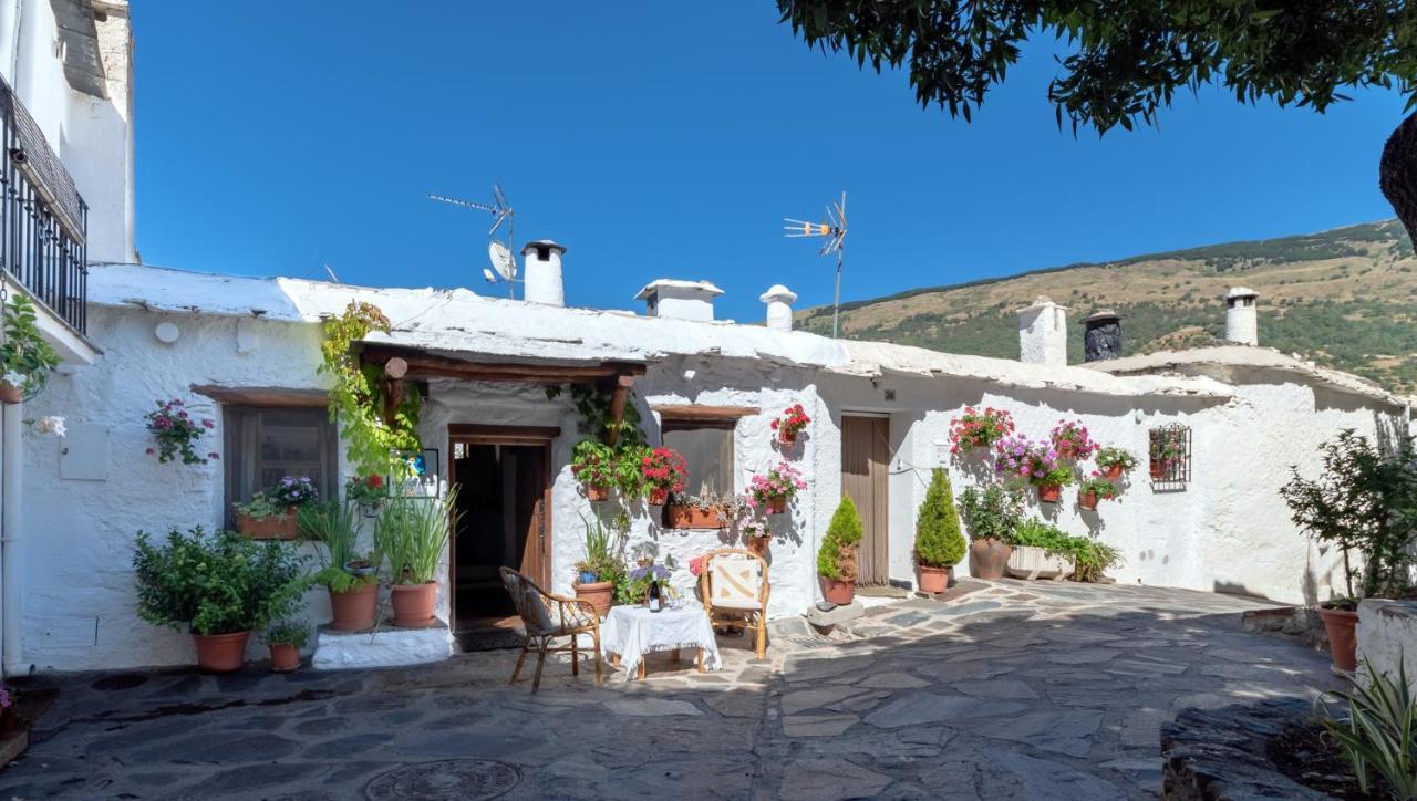 Holiday home El Gato Negro