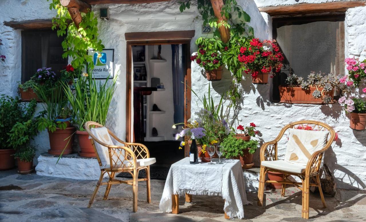 El Gato Negro Holiday home